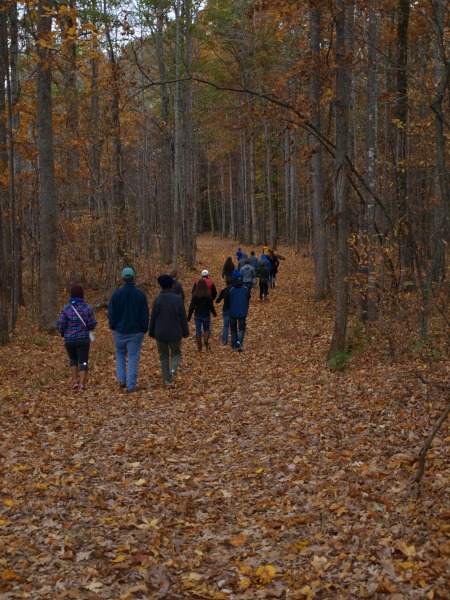 November 1 - fall is definitely here